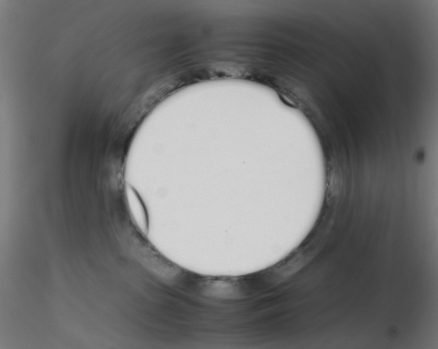 X0000115620285200912221234