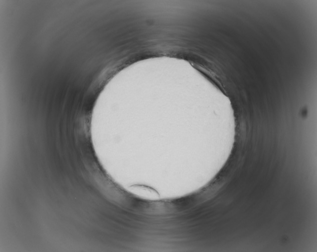 X0000115620286200912221234