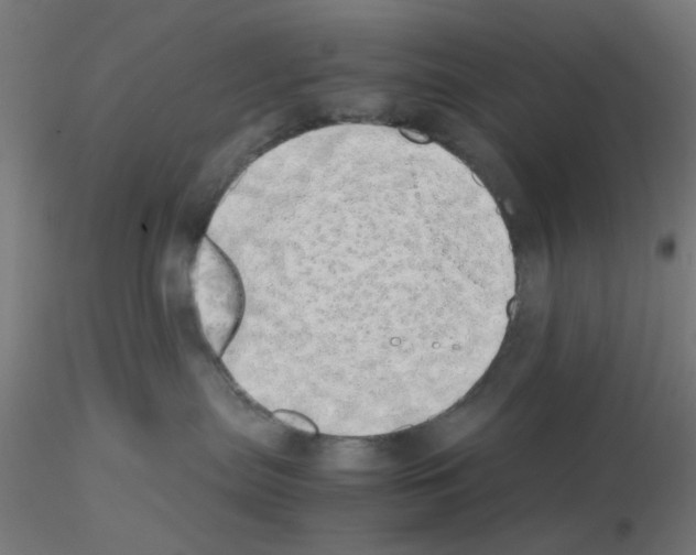 X0000115620287200912221234