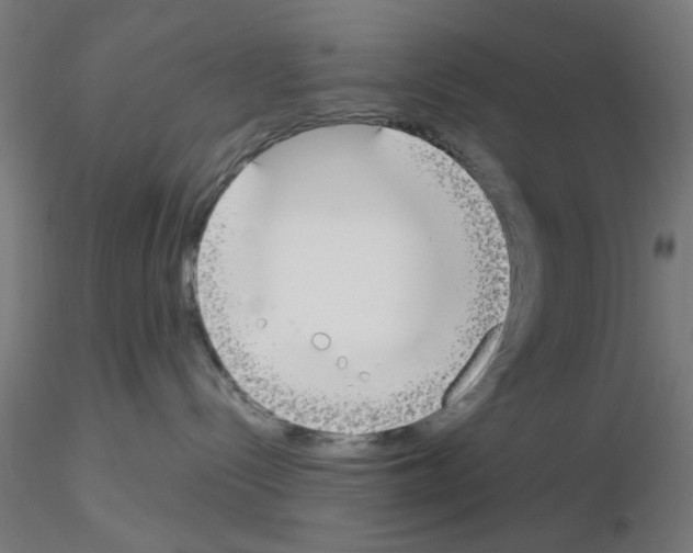 X0000115620288200912221234