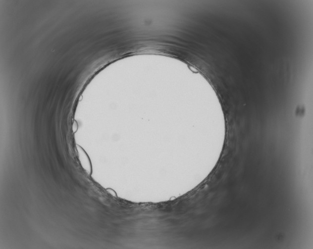 X0000115620289200912221234
