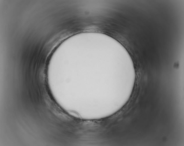 X0000115620290200912221234