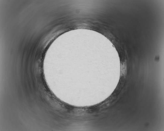 X0000115620291200912221234