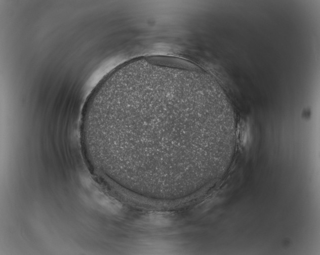 X0000115620292200912221234