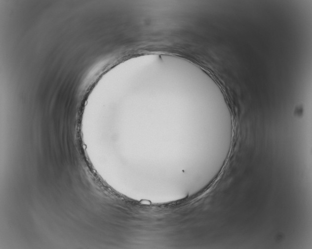 X0000115620293200912221234
