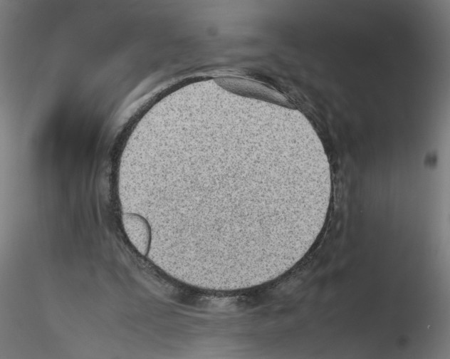 X0000115620295200912221234