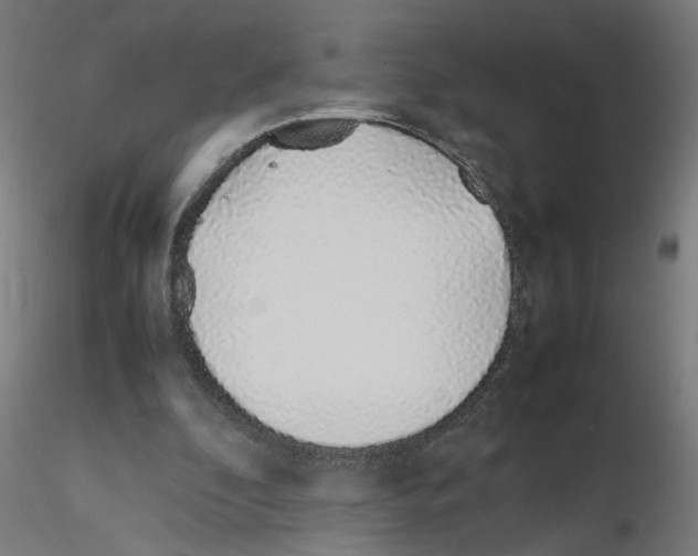 X0000115620296200912221234