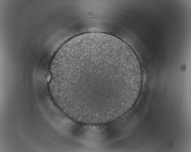 X0000115620297200912221234