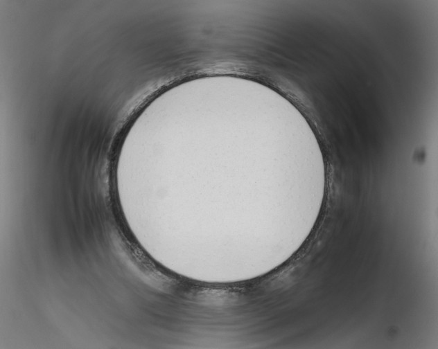 X0000115620298200912221234