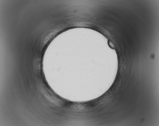 X0000115620299200912221234