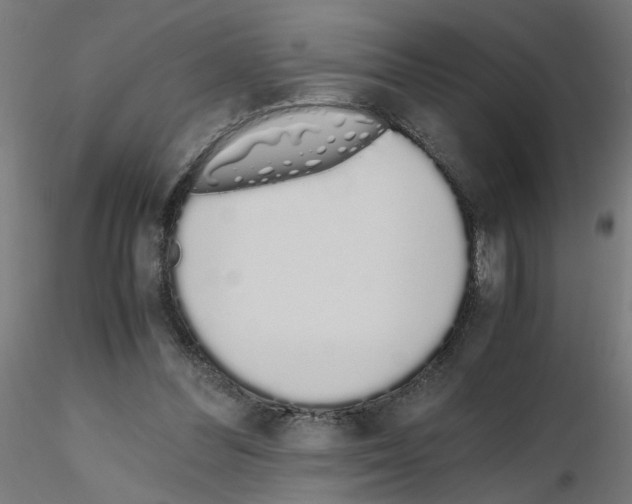 X0000115620300200912221234