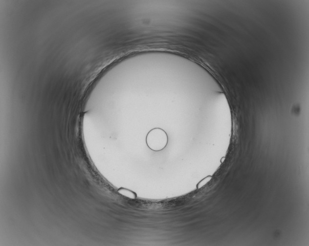 X0000115620301200912221234