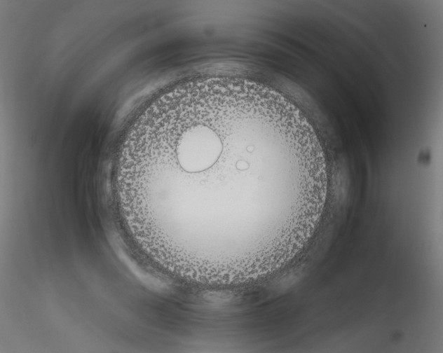 X0000115620302200912221234