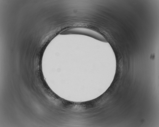 X0000115620303200912221234