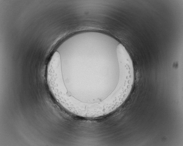 X0000115620304200912221234