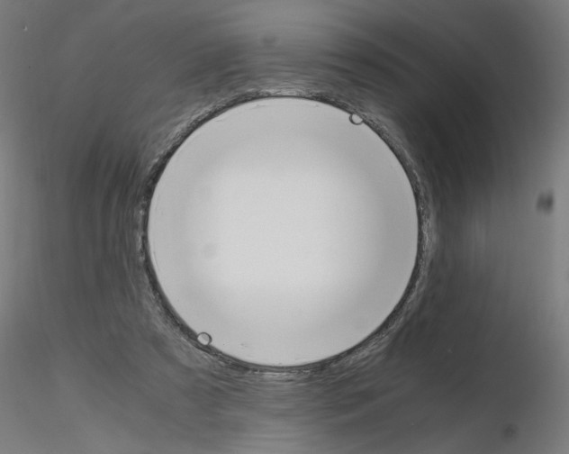 X0000115620305200912221234