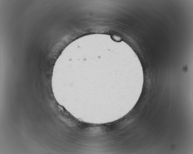 X0000115620307200912221234