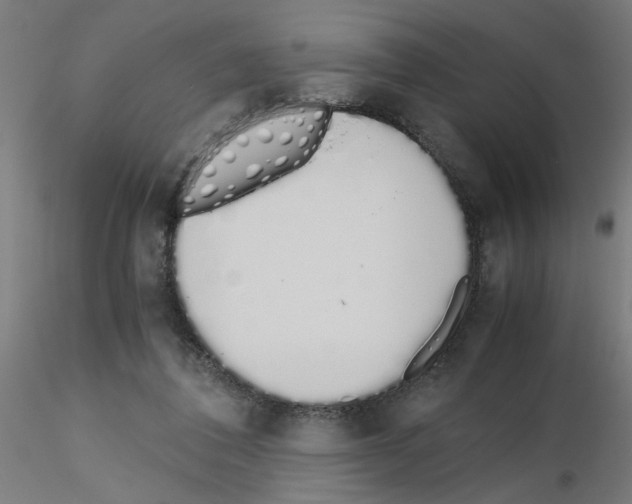 X0000115620308200912221234