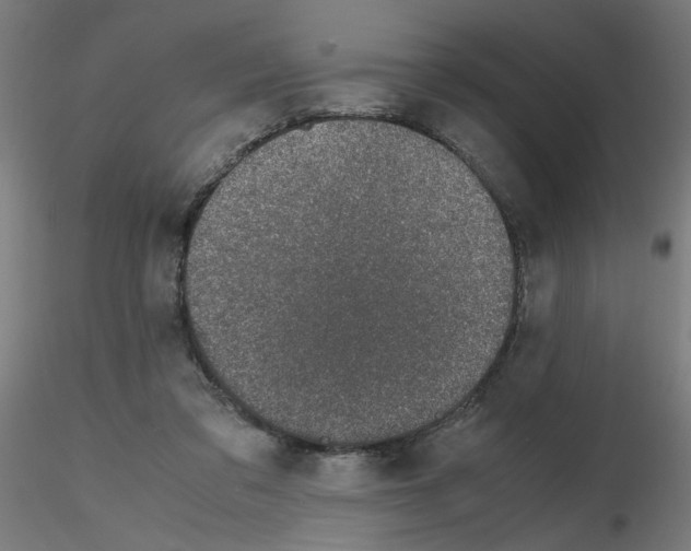 X0000115620309200912221234