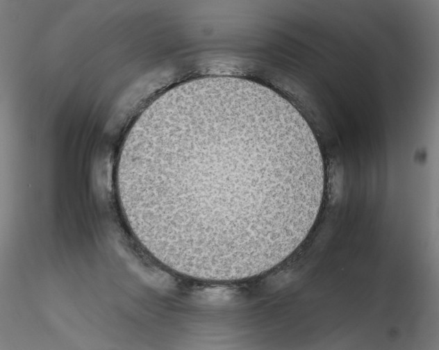 X0000115620310200912221234