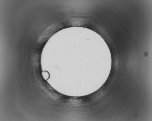 X0000115620311200912221234