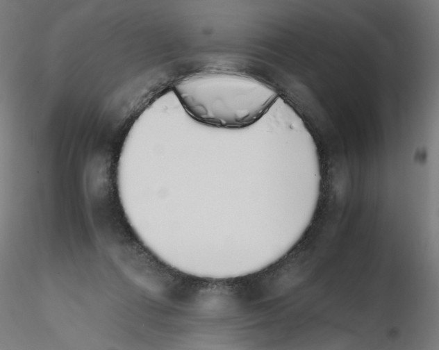 X0000115620312200912221233