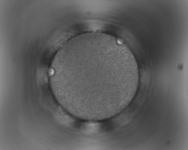 X0000115620313200912221233