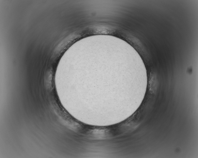 X0000115620314200912221233