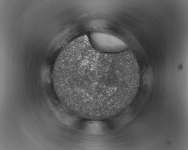 X0000115620316200912221233