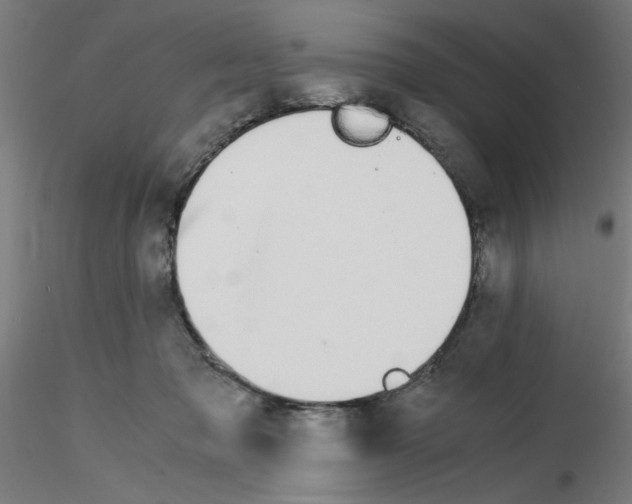 X0000115620317200912221233