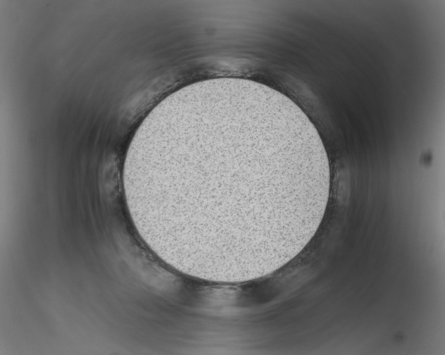 X0000115620318200912221233