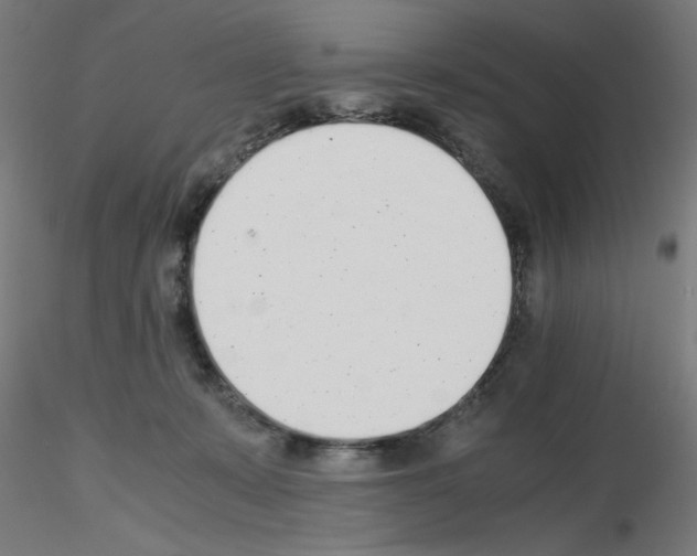 X0000115620319200912221233