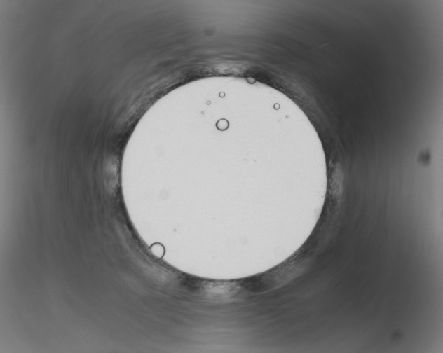 X0000115620321200912221233