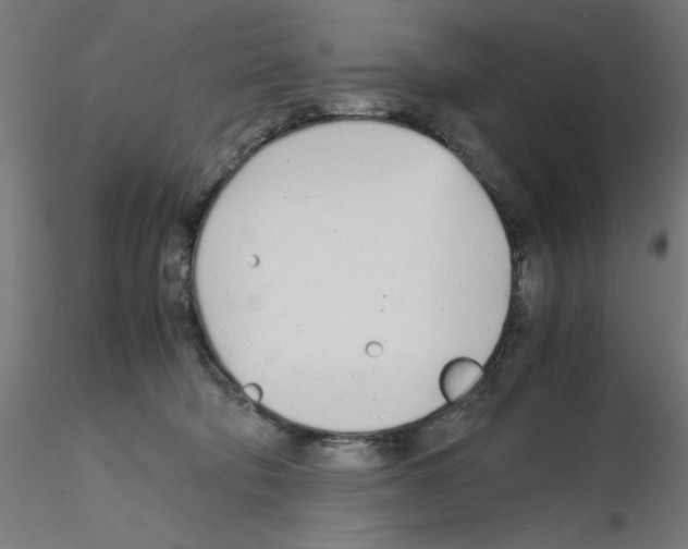X0000115620322200912221233