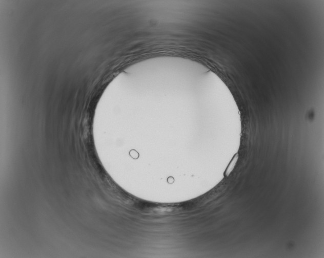 X0000115620323200912221233