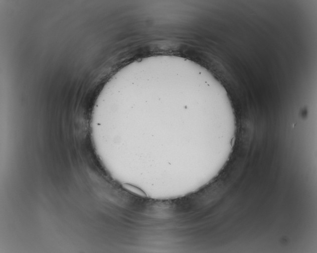X0000115620324200912221233