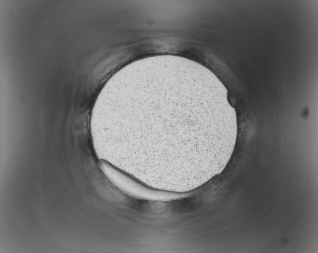 X0000115620325200912221233