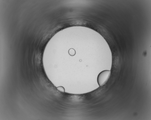 X0000115620326200912221233