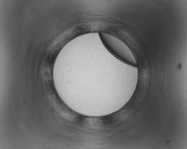 X0000115620327200912221233