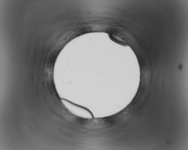 X0000115620329200912221233