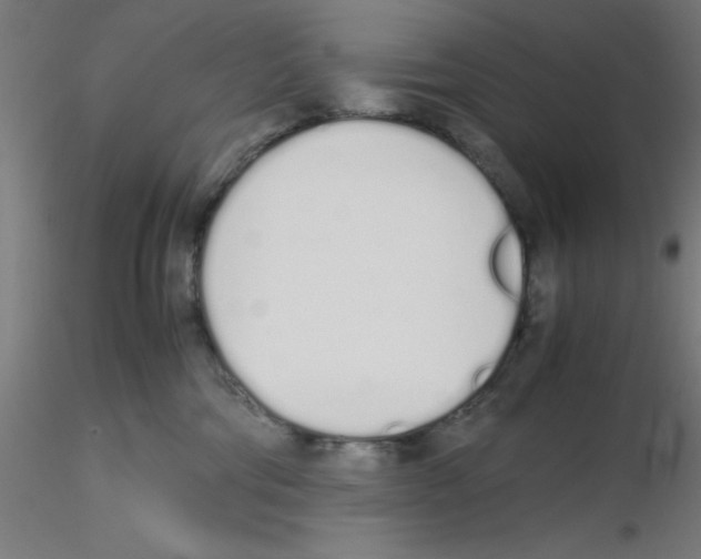 X0000115620330200912221233