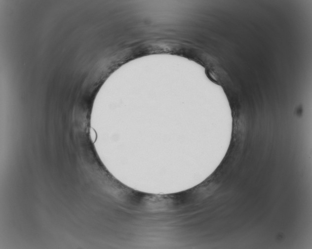 X0000115620331200912221233