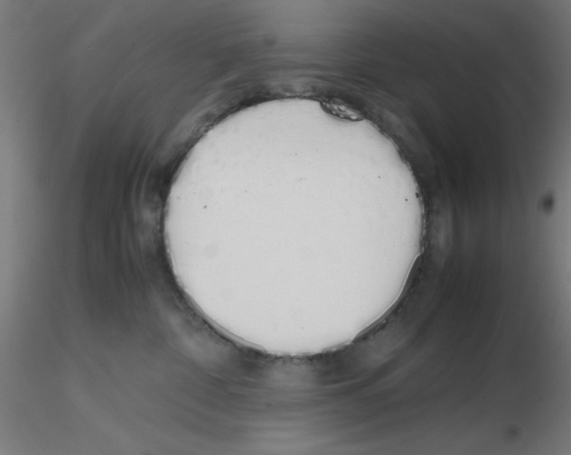 X0000115620332200912221233