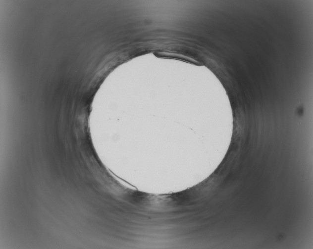 X0000115620333200912221233