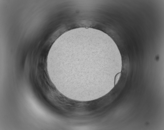 X0000115620334200912221233