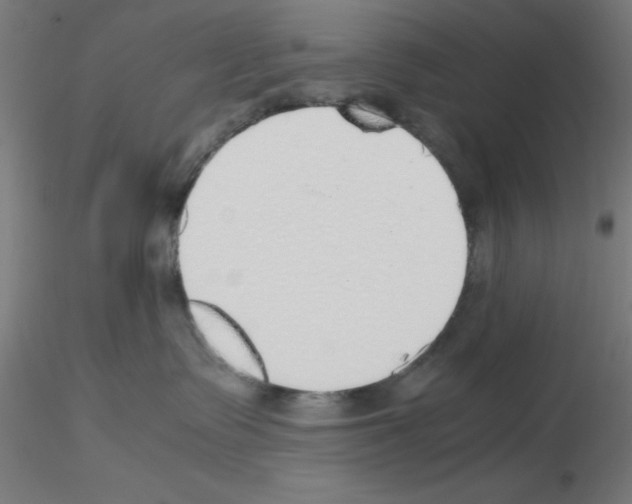 X0000115620335200912221233