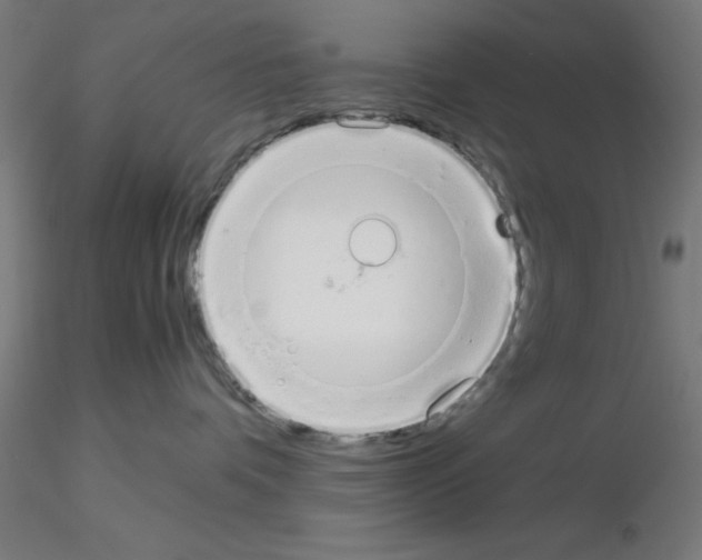 X0000115620336200912221233