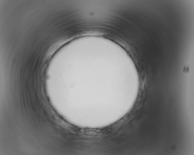 X0000115620337200912221233