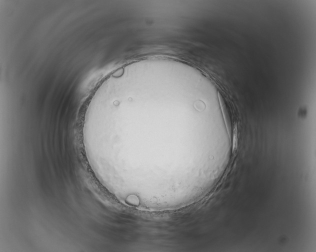 X0000115620339200912221233