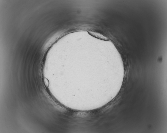 X0000115620341200912221233